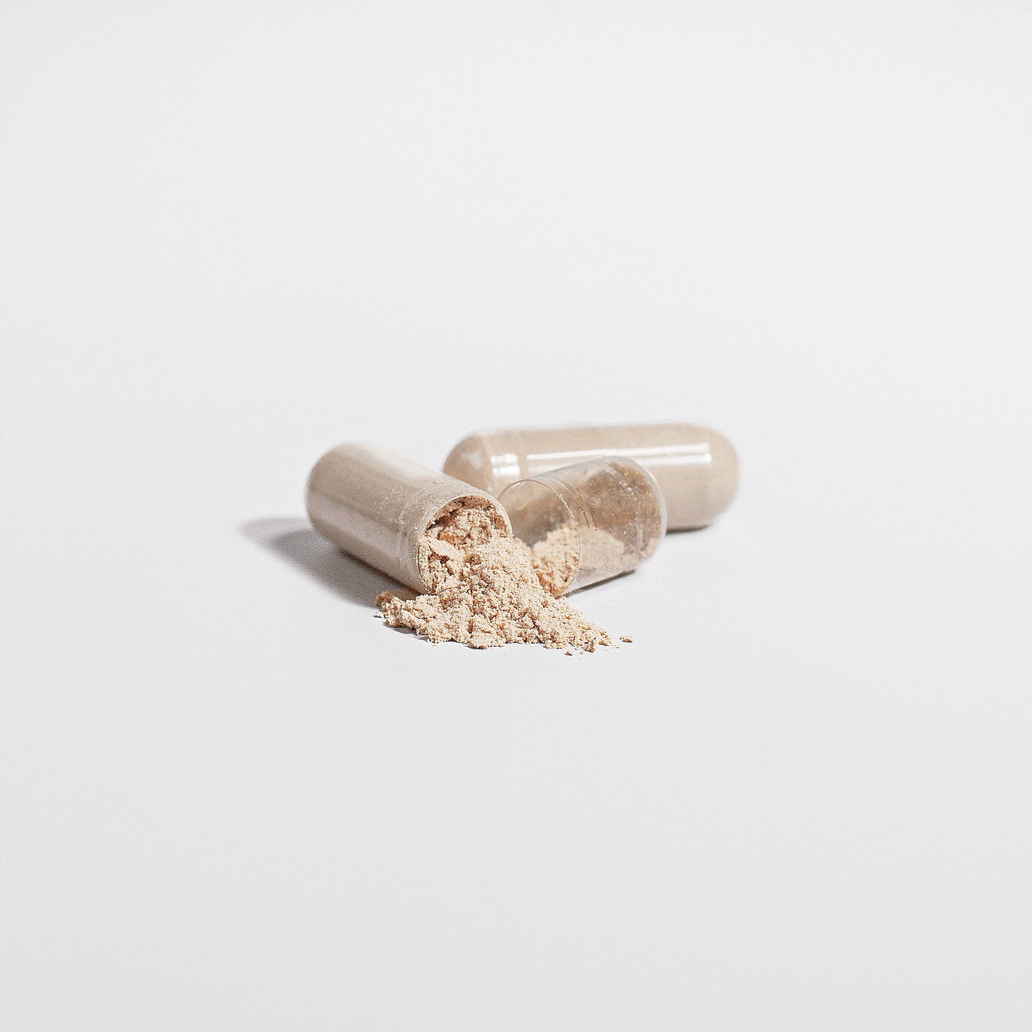 Tree of Life Studio Lion's Mane Mushroom supplement capsules with natural powder spilling out
