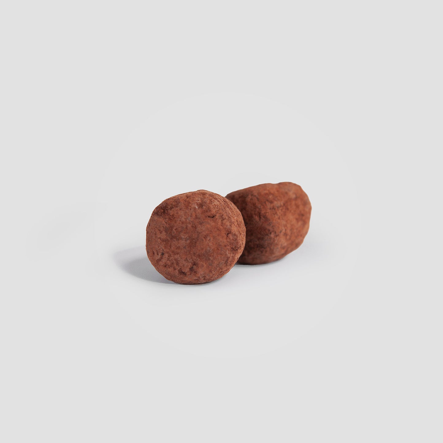 Two premium chaga mushroom truffles by Tree of Life Studio on white background