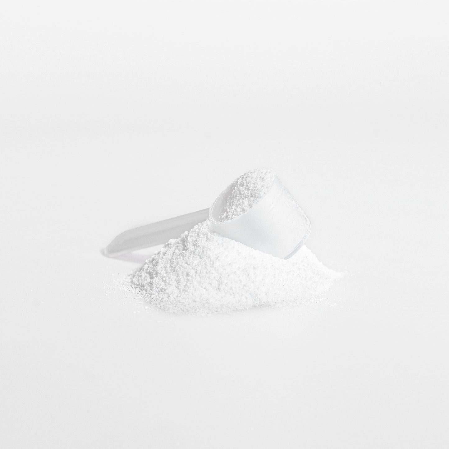 Scoop of pure creatine monohydrate powder from Tree of Life Studio on white background