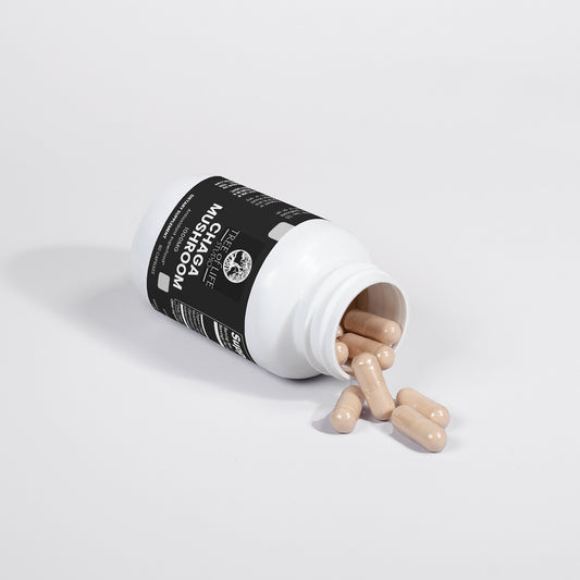 Tree of Life Studio Chaga Mushroom capsules spilling from white bottle on white background