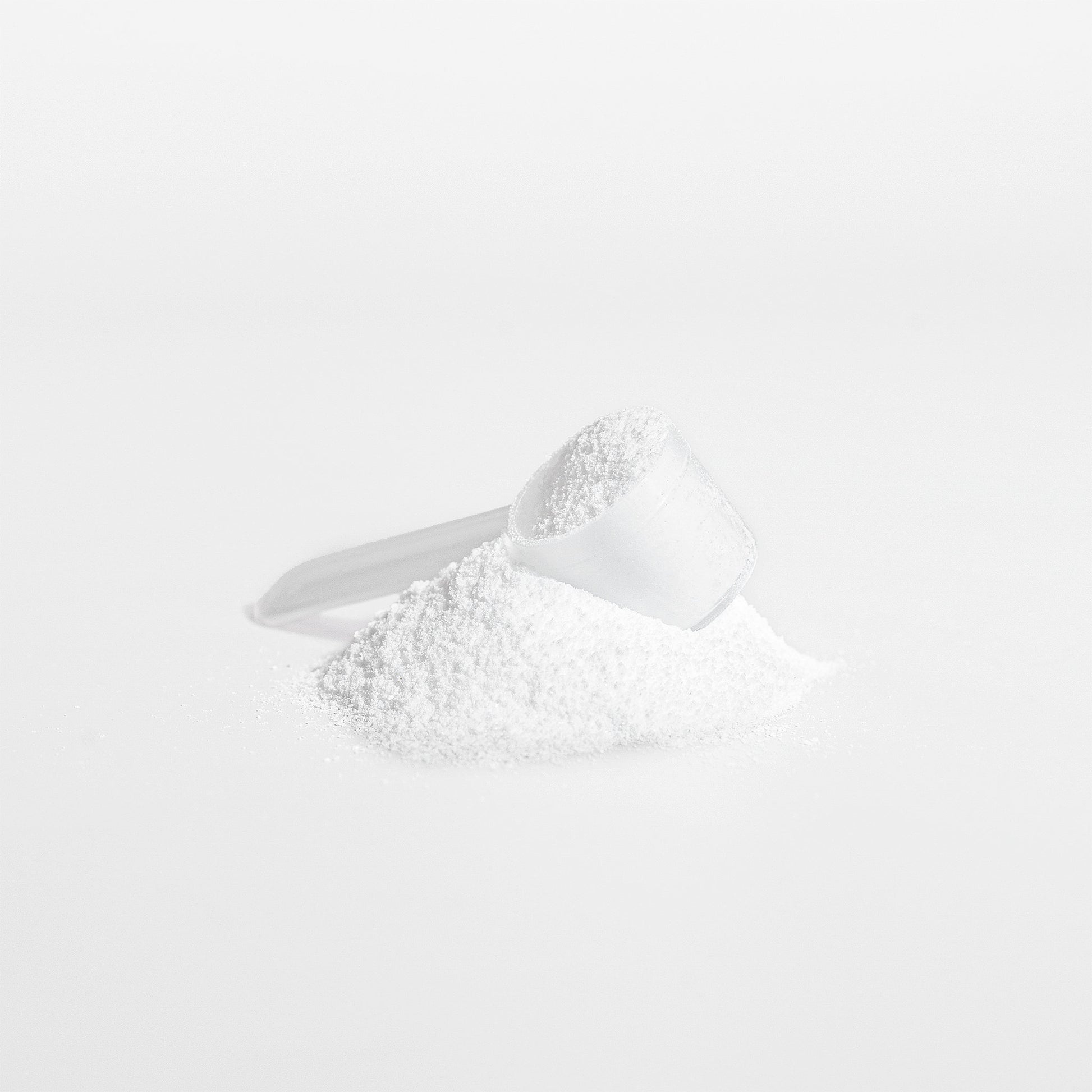 Scoop of pure creatine monohydrate powder from Tree of Life Studio on white background